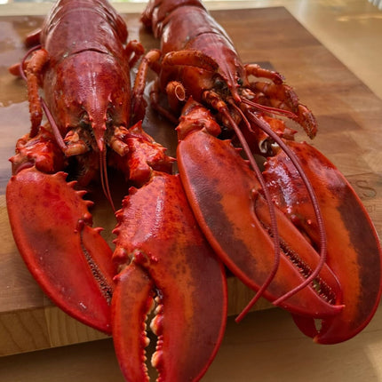 Lobster Lover's Box (2 lb bag + 2 whole cooked)