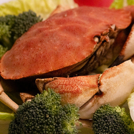 Jonah Crab Box (2 lb Bag + 4 Whole Cooked)