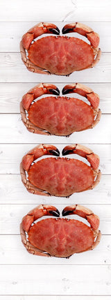 Jonah Crab Box (2 lb Bag + 4 Whole Cooked)