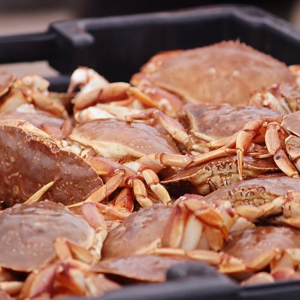 Jonah Crab Box (2 lb Bag + 4 Whole Cooked)