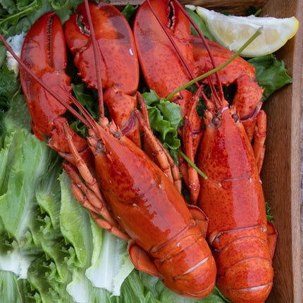 Lobster Lover's Box (2 lb bag + 2 whole cooked)